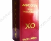 Ascott X.O. 0.7L